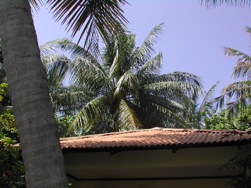DSCN1043 