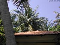 DSCN1043 