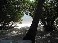 DSCN1044 