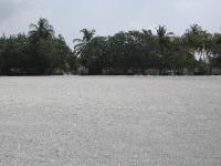 DSCN1139 