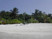 DSCN1184 