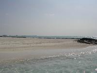 DSCN1187 