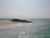 DSCN1188 