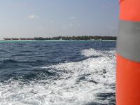 DSCN1194 