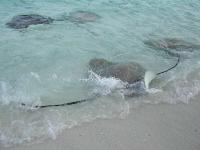 DSCN1201 